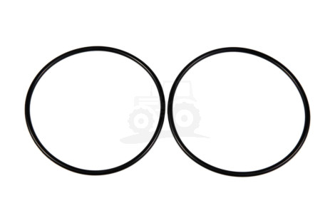 O-ring