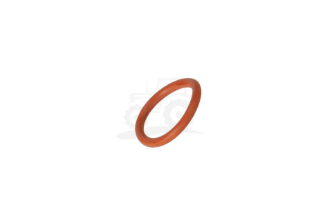O-ring