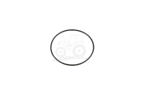 O-ring