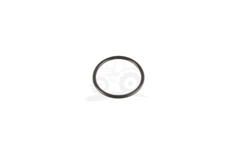O-ring