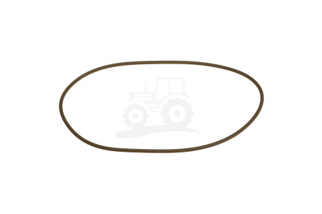 O-ring