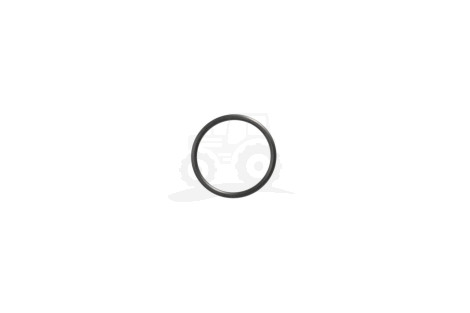 O-ring