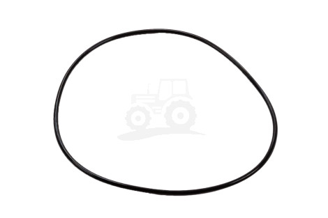O-ring