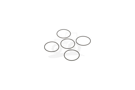 O-ring