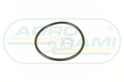 O-ring