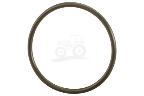 O-ring