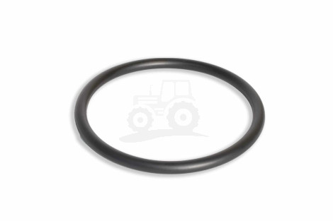 O-ring