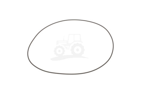 O-ring