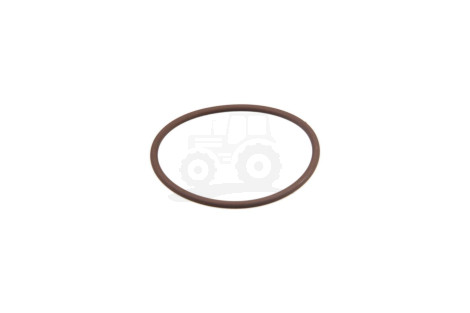 O-ring