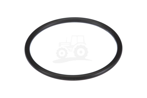 O-ring