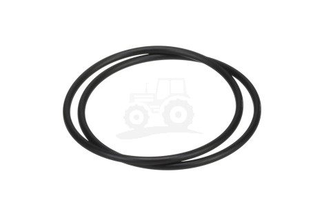 O-ring