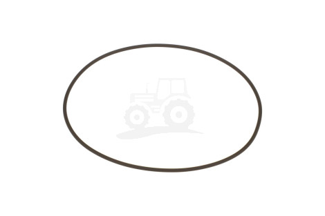 O-ring