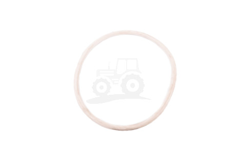 O-RING 160x7