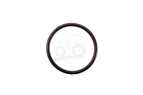 Oring 62,00x5,00