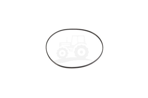 Oring 25/38-283