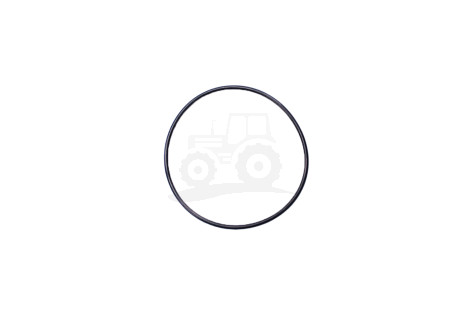 Oring 123/14465980