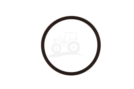 Oring 25/306-5