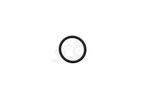 O-RING 2.62 X 22.22 MM 54/6088-14