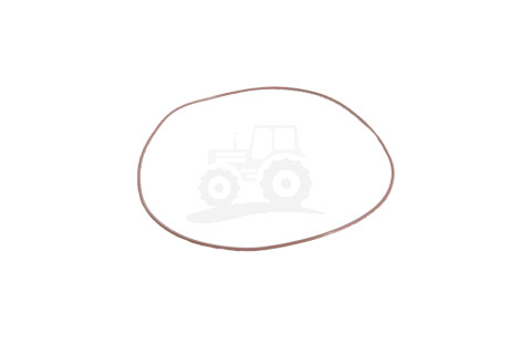 O-ring