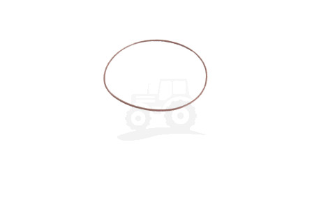 O-ring