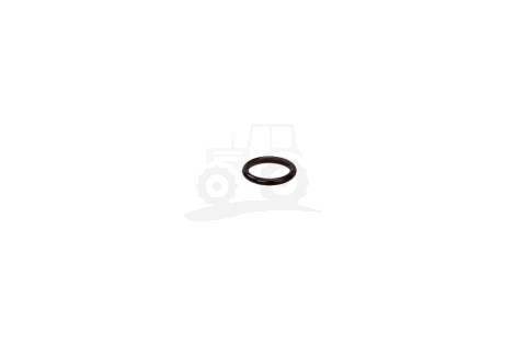 Oring 123/14457181