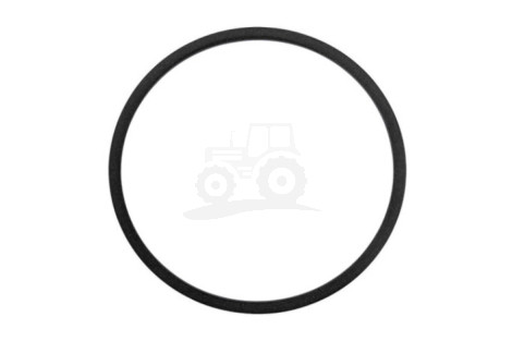 O-ring