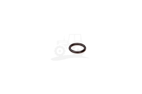 Oring 123/14457180