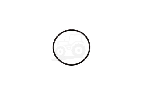 Oring 26/6011-1