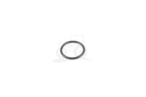 O-ring