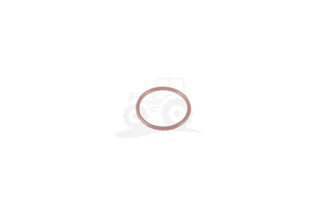 O-ring
