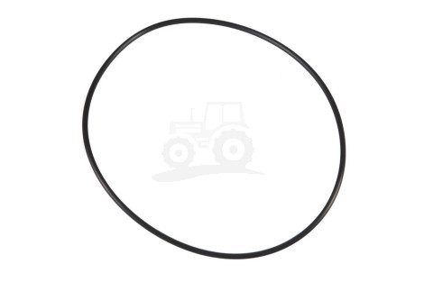 O-ring
