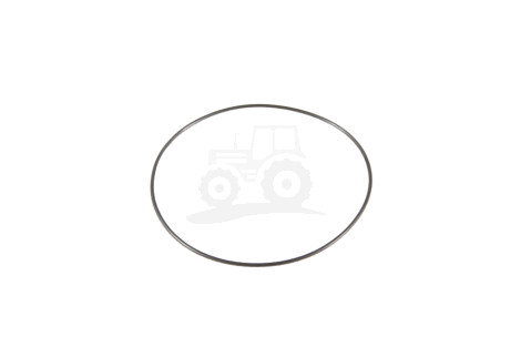 O-ring