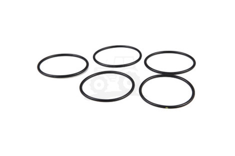 O-ring