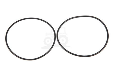 O-ring