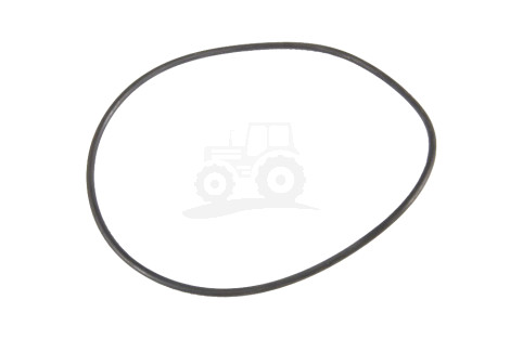O-ring