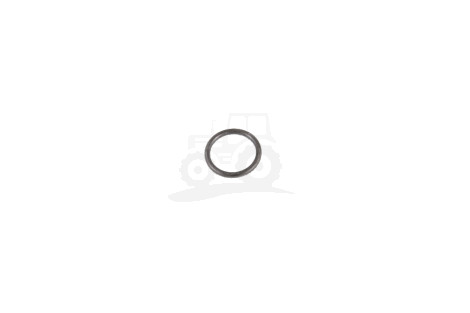 O-ring