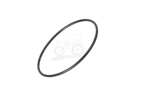 O-ring