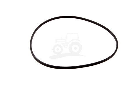 O-ring