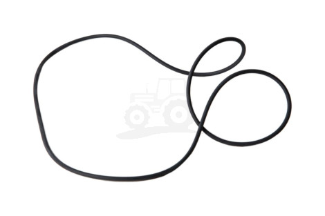 O-ring