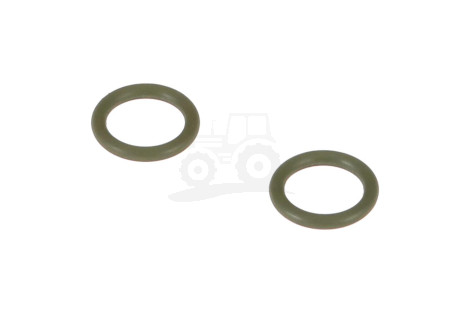 O-ring