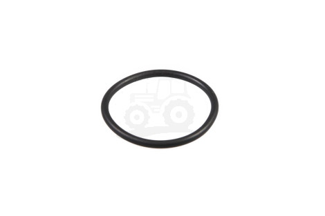 O-ring