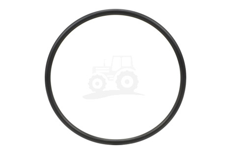 O-ring
