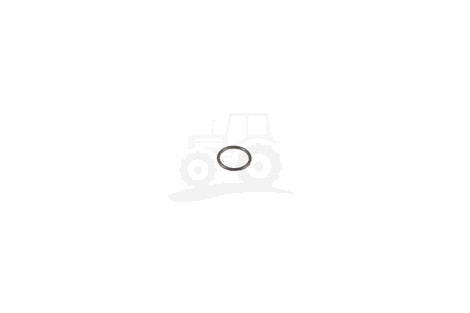 O-ring