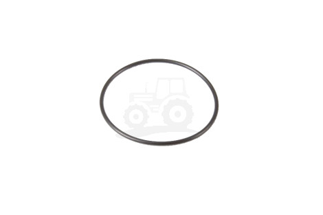 O-ring