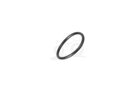 O-ring