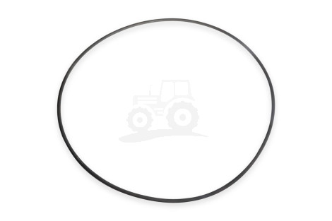 O-ring