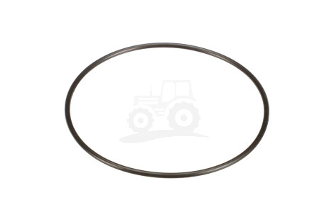 O-ring