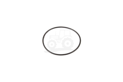 O-ring