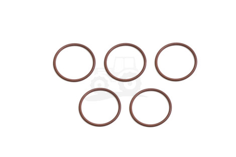 O-ring