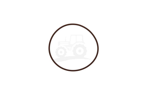 O-ring